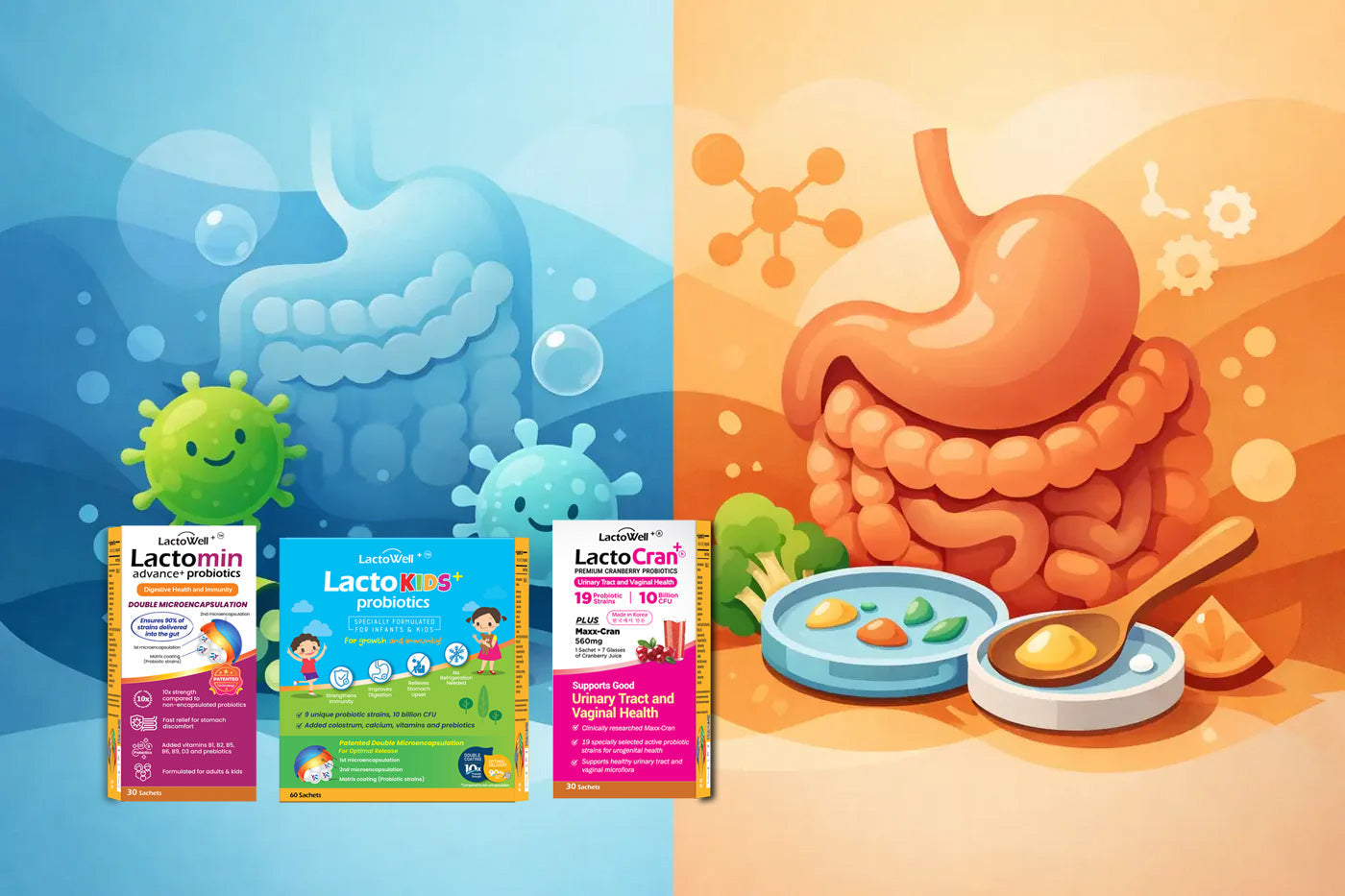 Probiotics vs Digestive Enzymes: Which Helps?