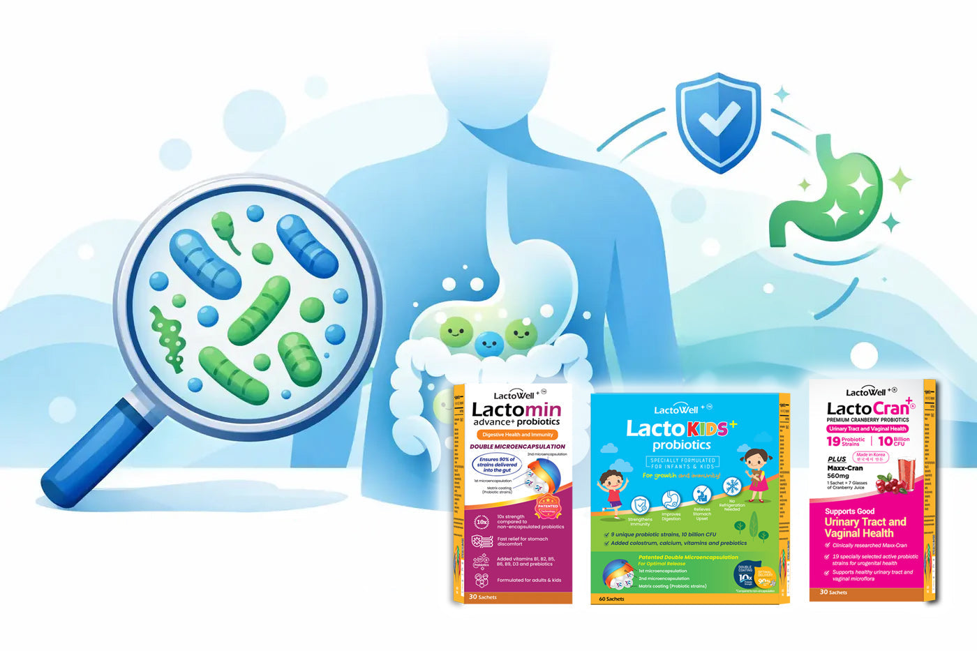 Probiotic Strains Explained Simply