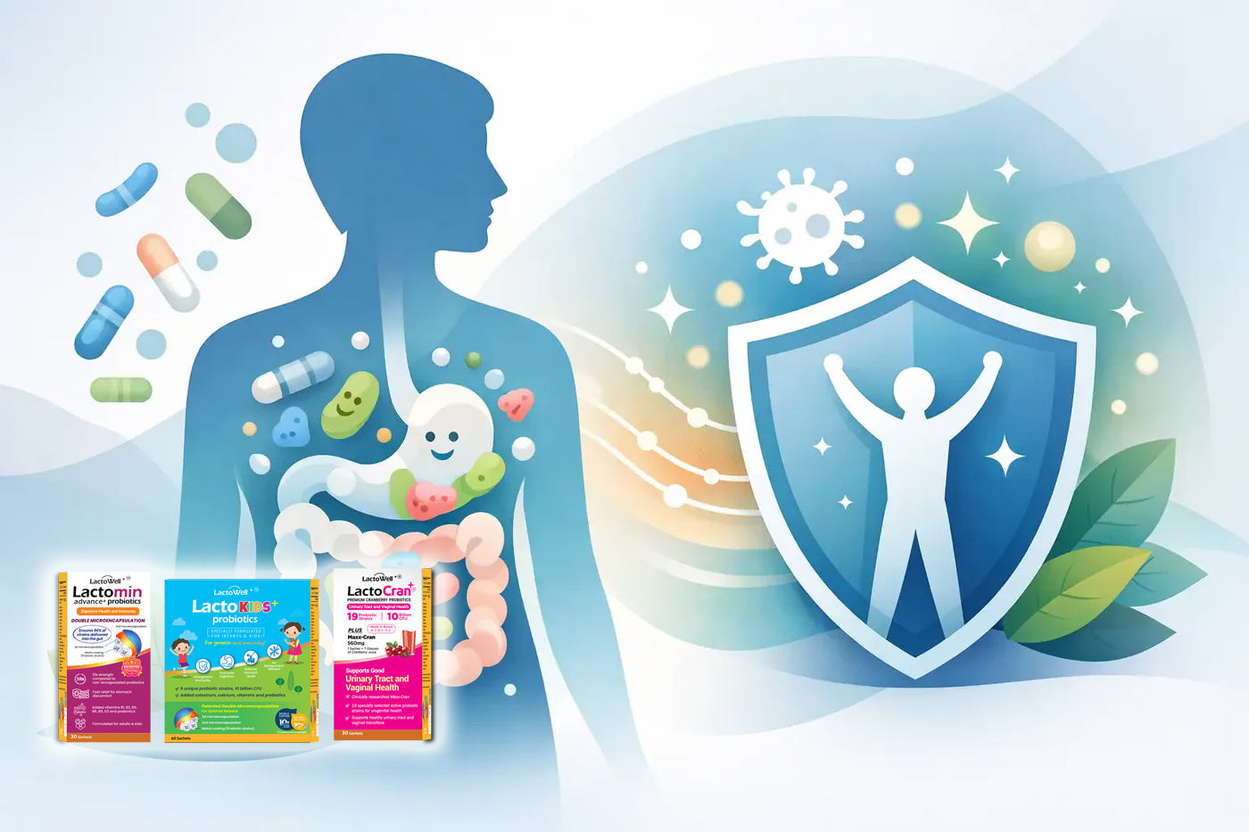 How Probiotics Support Immunity Daily